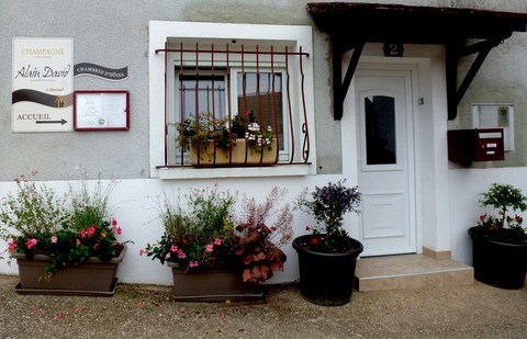 champagne Alain DAVID chambre d'hotes