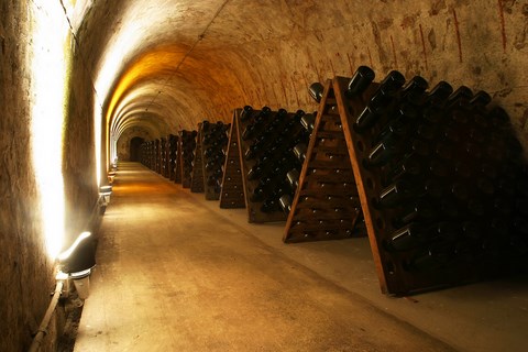 vignobles-caves-champagne